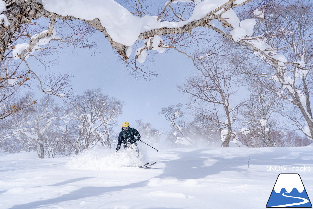 ニセコ東急グラン・ヒラフ｜積雪400cm！ニセコの『PowderSnow』を味わい尽くす、贅沢な時間♪